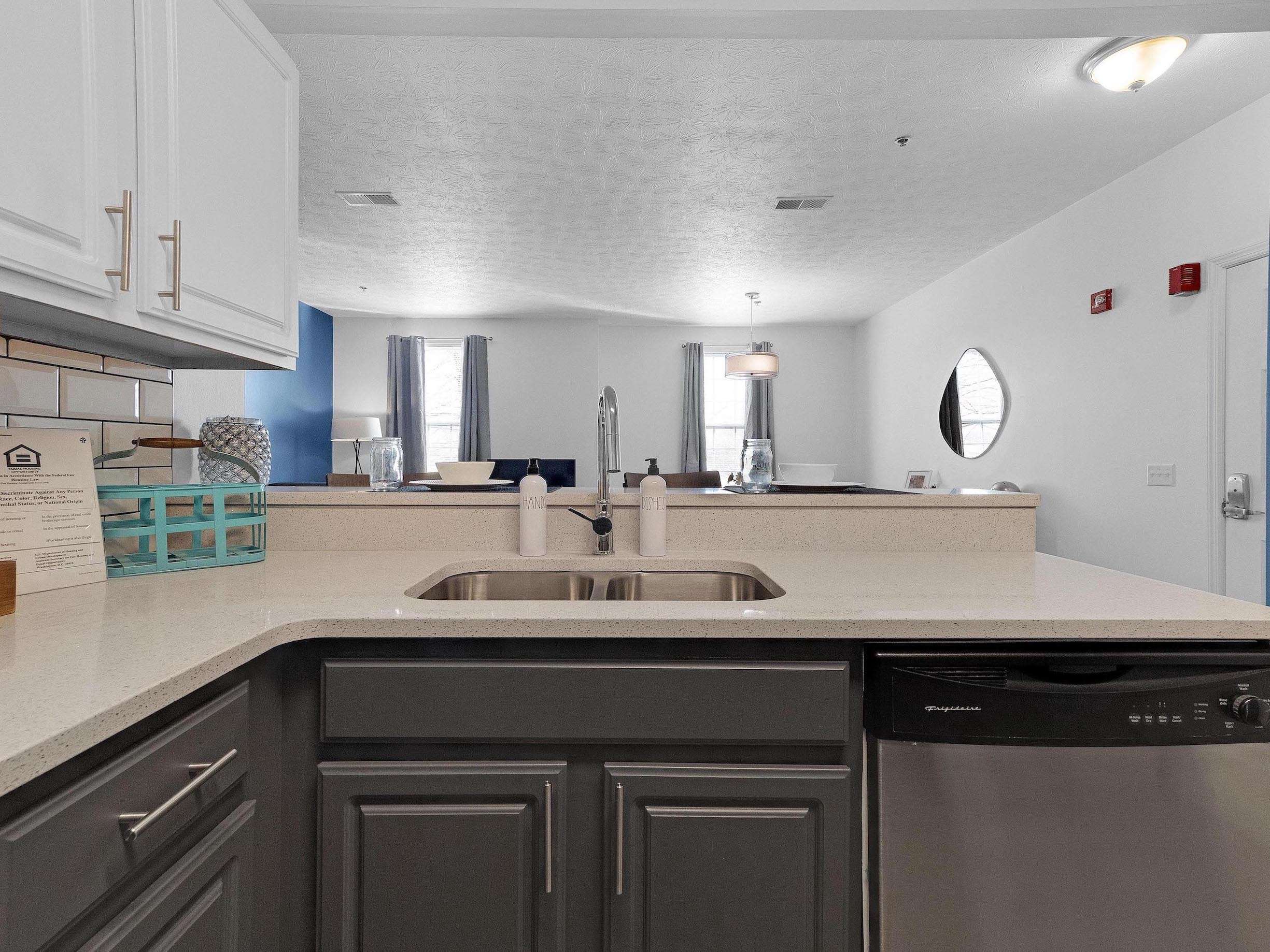a kitchen with a sink and a dishwasher